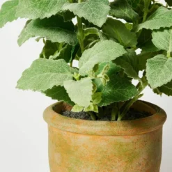 Artificial Potted Mint Leaf - Threshold™ Designed With Studio McGee 5 Artificial Potted Mint Leaf - Threshold™ Designed With Studio McGee -Threshold Décor Deals Store GUEST 19a08200 78b7 461e bcd9 c962450d4305