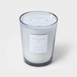 Colored Vase Glass With Dustcover Rainwater Lily Candle Gray - Threshold™ -Threshold Décor Deals Store GUEST 1a738ead 7e7a 4f46 b4ff 79439b3488d0