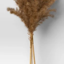 Pampas Grass Bundle - Threshold™ -Threshold Décor Deals Store GUEST 26edef61 6665 4adf 8950 0f1ca68295ab