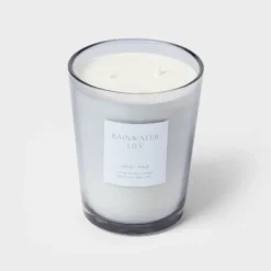 Colored Vase Glass With Dustcover Rainwater Lily Candle Gray - Threshold™ -Threshold Décor Deals Store GUEST 4dd3a894 6c80 4248 a2de 93743bf8dee9