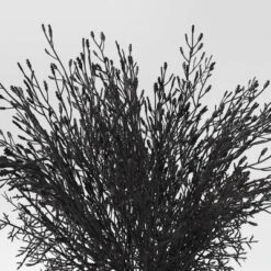 Threshold Décor Deals Store -Threshold Décor Deals Store GUEST 5834dd4b e292 4e7e 86c6 4be244afb3d9