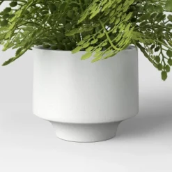 Small Fern In Modern Pot Maiden Hair Arrangement - Threshold™ -Threshold Décor Deals Store GUEST 75fb7d8f c213 4761 a51b b27751ab80ae