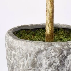 Banyan Tree Potted - Threshold™ Designed With Studio McGee -Threshold Décor Deals Store GUEST 7c945569 ea6c 4192 94d5 6530a4bfd2d3