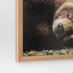 20" X 16" Bear Photography Framed Art Brown - Threshold™ -Threshold Décor Deals Store GUEST 8d29808a 8d0a 4121 a8c8 64d15cc45658
