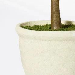 Ficus Tree - Threshold™ Designed With Studio McGee -Threshold Décor Deals Store GUEST b527c49c 40e7 4f4d 8026 e60817b7e327