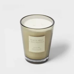 Colored Vase Glass With Dustcover Watermint And Eucalyptus Candle Green - Threshold™ -Threshold Décor Deals Store GUEST c7ced8f8 1486 4167 bf53 4e77271a3df4