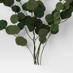 Preserved Eucalyptus Bundle - Threshold™ -Threshold Décor Deals Store GUEST c7dd4b87 faec 4ba4 94c4 c0953dd894d7
