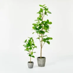Banyan Leaf Potted Tree - Threshold™ Designed With Studio McGee -Threshold Décor Deals Store GUEST e0836b00 df5f 43ba bf4c e16aa35005ea